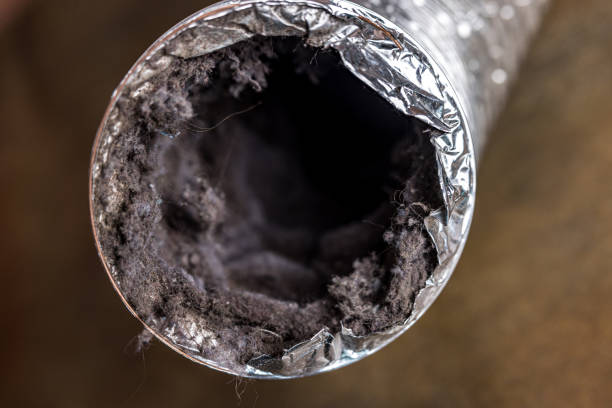 Best Air Duct Cleaning Near Me  in Choctaw Lake, OH